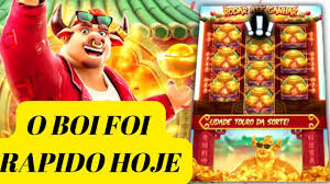 significado dos sonhos no jogo do bicho touro